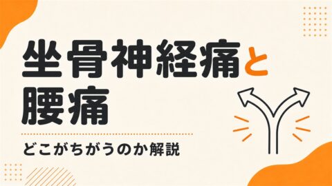 坐骨神経痛と腰痛は、どこがちがうのか