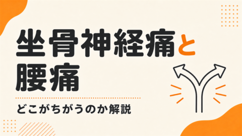 坐骨神経痛と腰痛は、どこがちがうのか